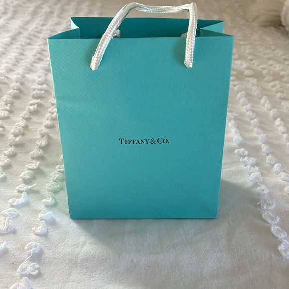Tiffany&Co. silver infinity earrings AND packaging - Picture 5 of 5